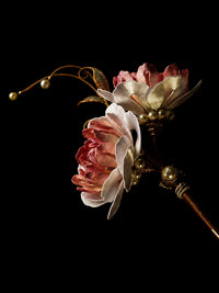 Flesh Amalgam · Crimson Symbiosis — Sacred Evidence