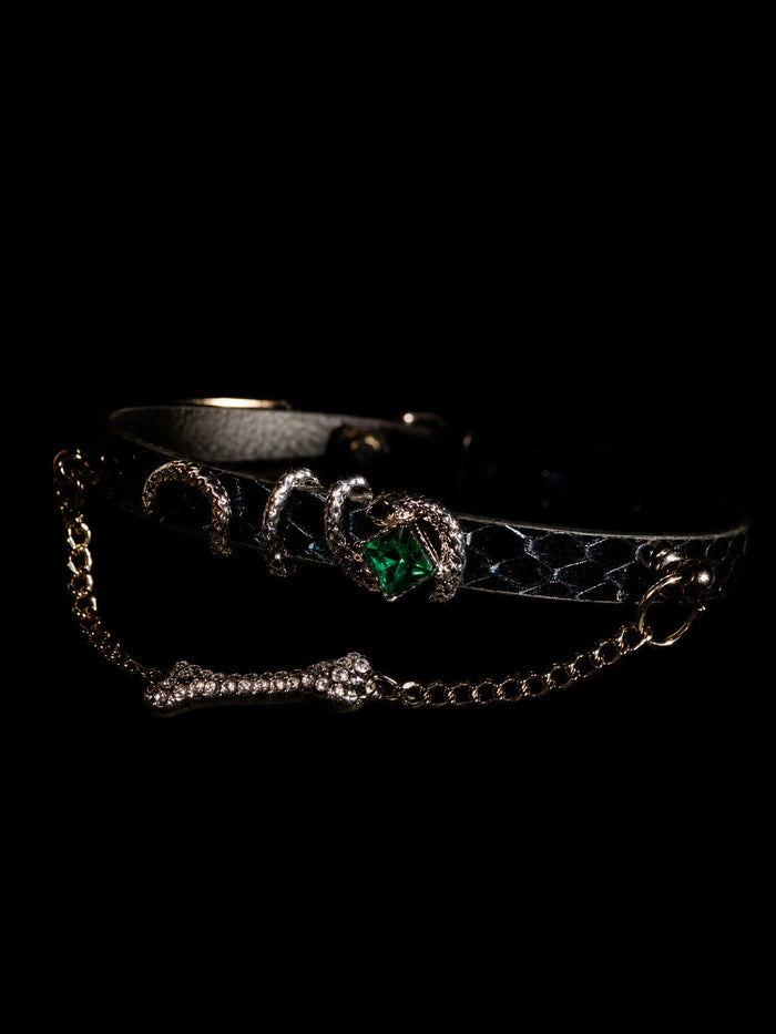 The Viper's Edict · Bone Whisper