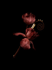 Drained Ventricle · Silent Devouring — Sacred Evidence
