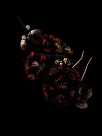 Carbonized Husk · Calcined Velvet — Sacred Evidence