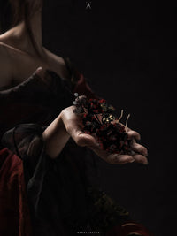 Carbonized Husk · Calcined Velvet — Embodied Altar