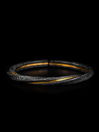 Spiraled Flesh · Golden Fracture — Sacred Evidence