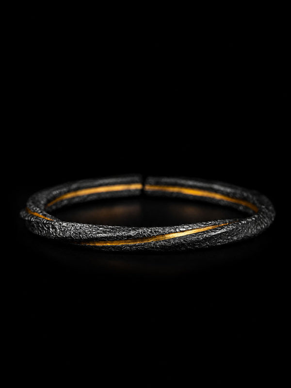 Spiraled Flesh · Golden Fracture — Sacred Evidence