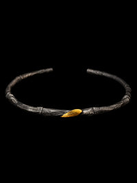 Interrogated Bone · Golden Fracture — Sacred Evidence