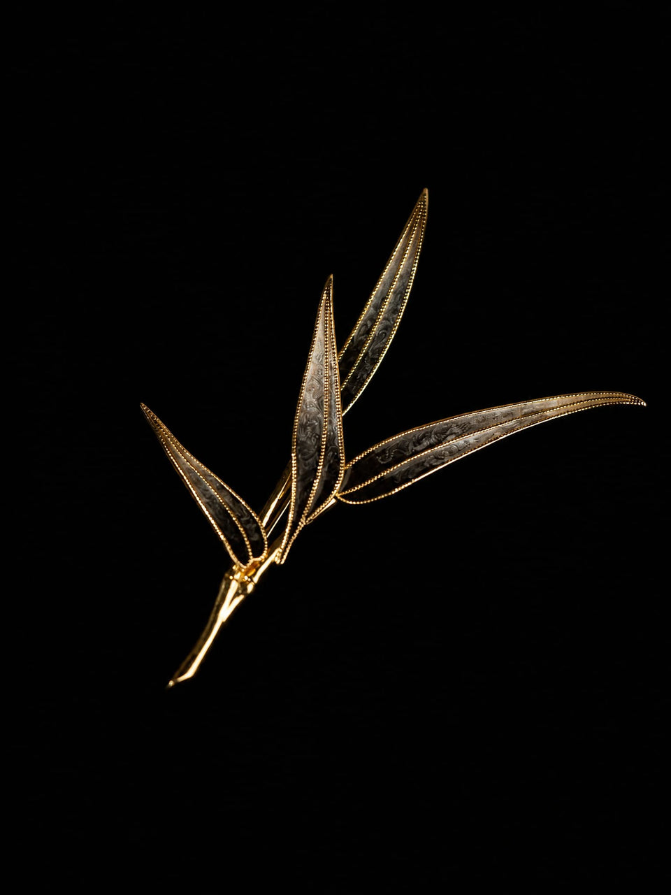Lingchi Bamboo · Absolute Autopsy
